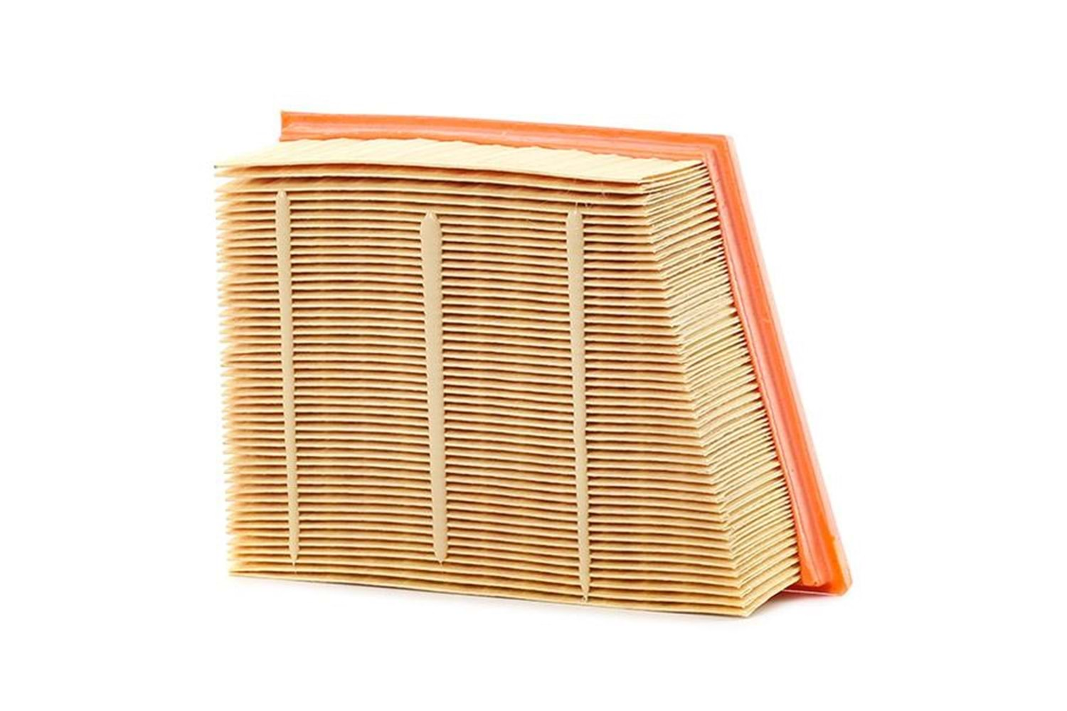 Mann Filter Hava Filtresi C22031