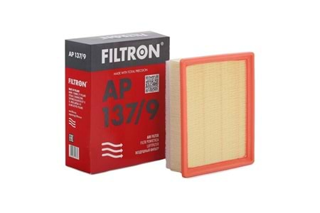 Filtron Hava Filtresi AP137/9