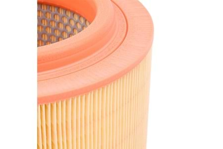 Mann Filter Hava Filtresi C22024