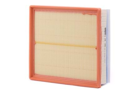 Mann Filter Hava Filtresi C29168