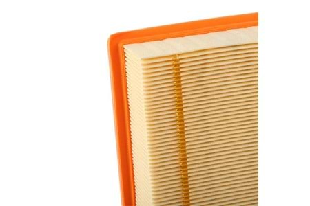 Mann Filter Hava Filtresi C36031