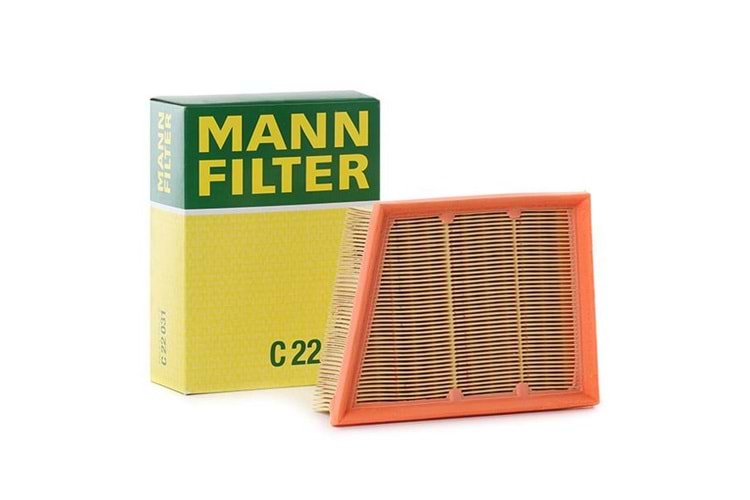 Mann Filter Hava Filtresi C22031